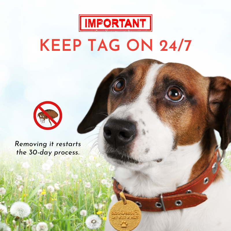 FleasGone Flea & Tick Tag | Natural, Long-Lasting Flea & Tick Prevention