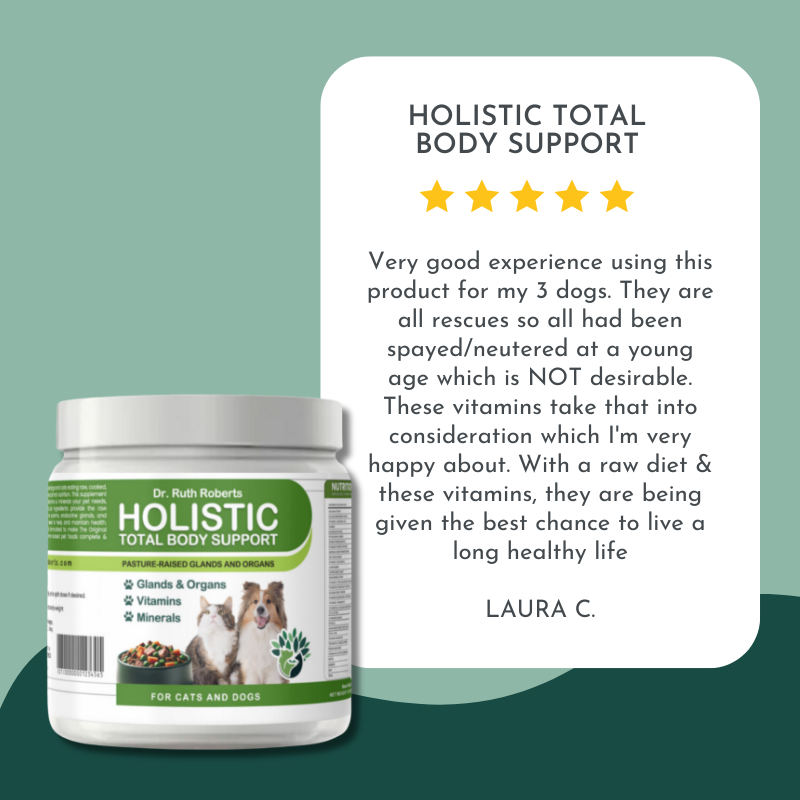 The Complete CrockPET Diet Starter Kit - Holistic Cat Food
