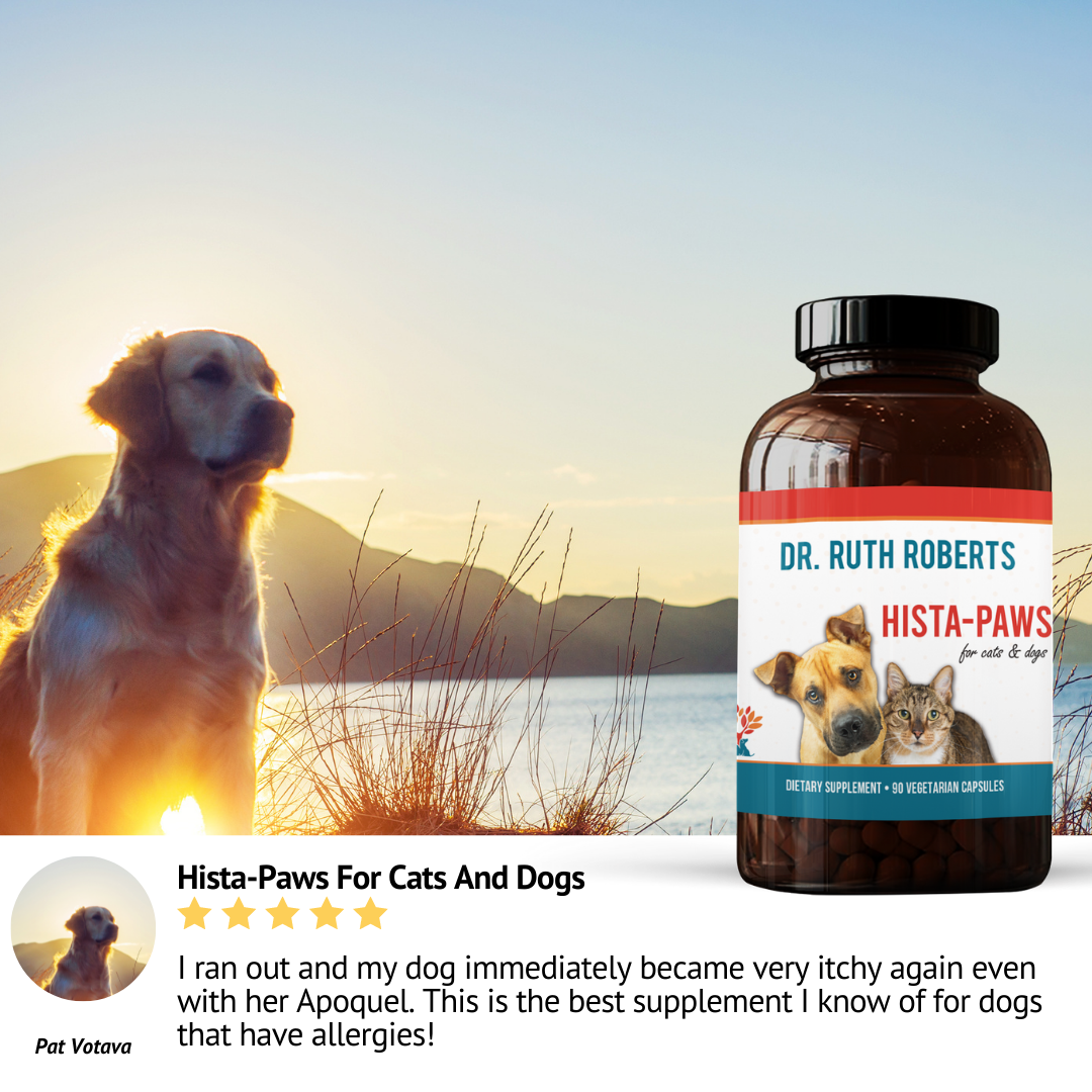 "Pet Allergy Relief Duo – Hista Paws + Omega Pawz | Natural Allergy Relief & Immune Support for Dogs & Cats | Quercetin & Fish Oil for Itchy Skin & Inflammation"