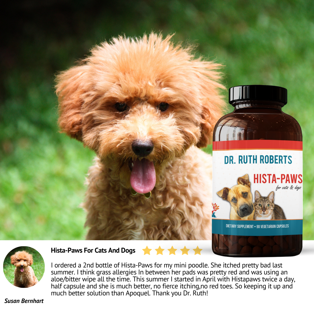 "Pet Allergy Relief Duo – Hista Paws + Omega Pawz | Natural Allergy Relief & Immune Support for Dogs & Cats | Quercetin & Fish Oil for Itchy Skin & Inflammation"