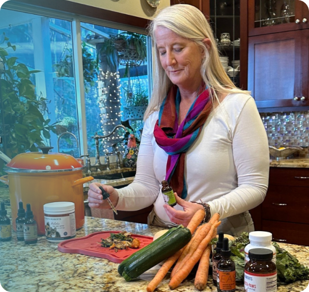 Plant & Medicinal Mushroom Guide E-book by Angela Ardolino