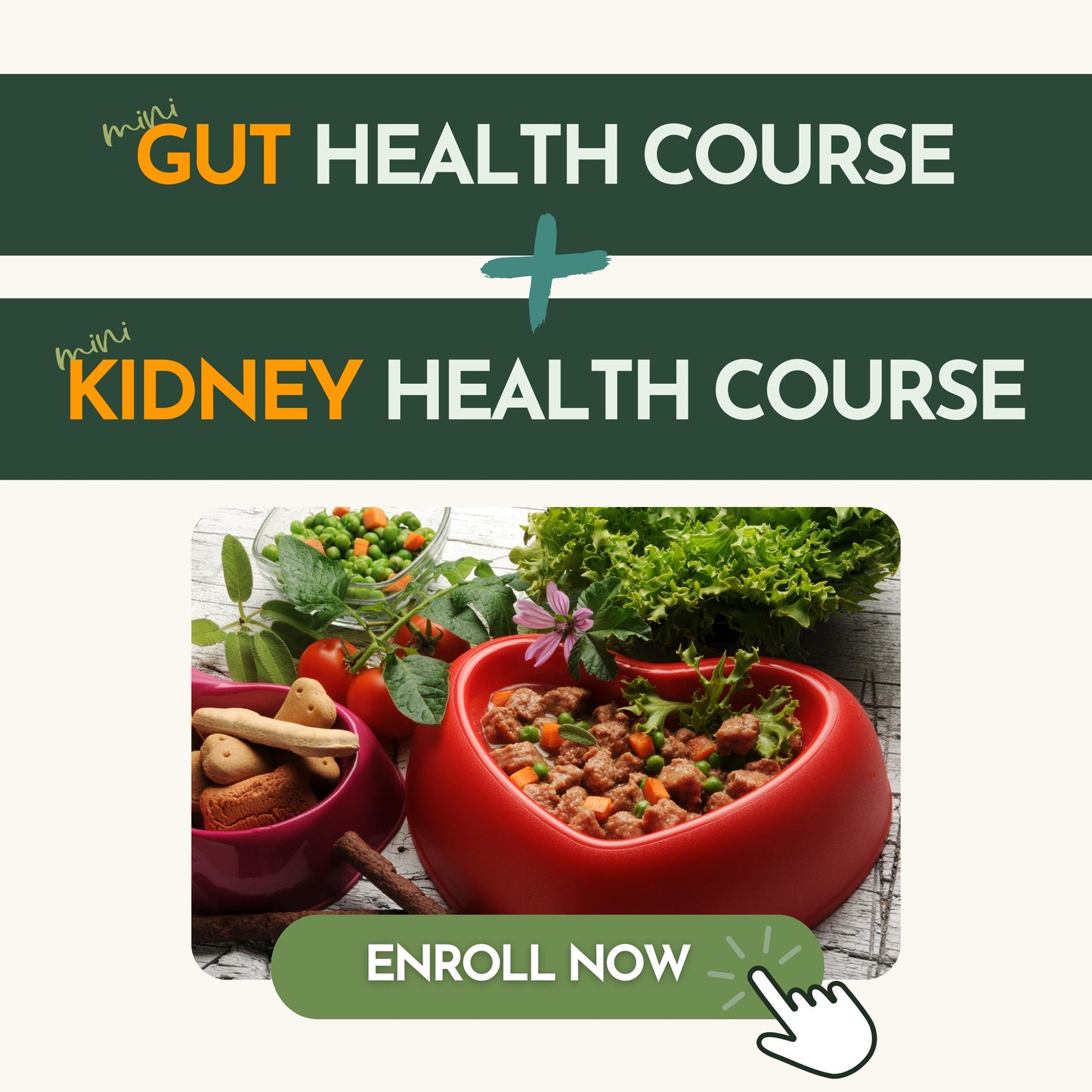 Promotional image for the "Mini Gut Health Course" and "Mini Kidney Health Course." The top section displays the text "Mini Gut Health Course" and "Mini Kidney Health Course," separated by a plus sign. Below, a healthy pet meal in a red heart-shaped bowl is surrounded by fresh vegetables and pet treats. At the bottom, a green button with the text "Enroll Now" includes an icon of a hand clicking a mouse.