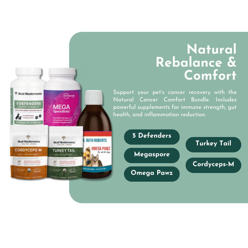 Natural Rebalance & Comfort for Dogs and Cats