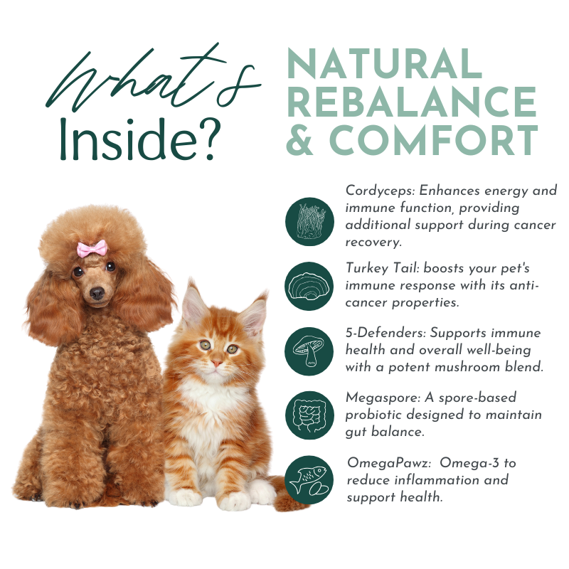 Natural Rebalance & Comfort for Dogs and Cats