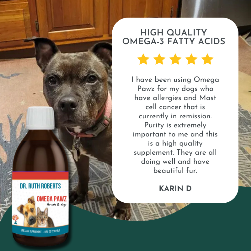 Root and Rise Longevity Kit for pets featuring CrockPet Diet, Holistic Total Body Support supplement, and Omega Pawz fish oil