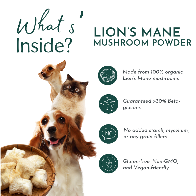 Organic Lion’s Mane Mushroom Powder for Pets