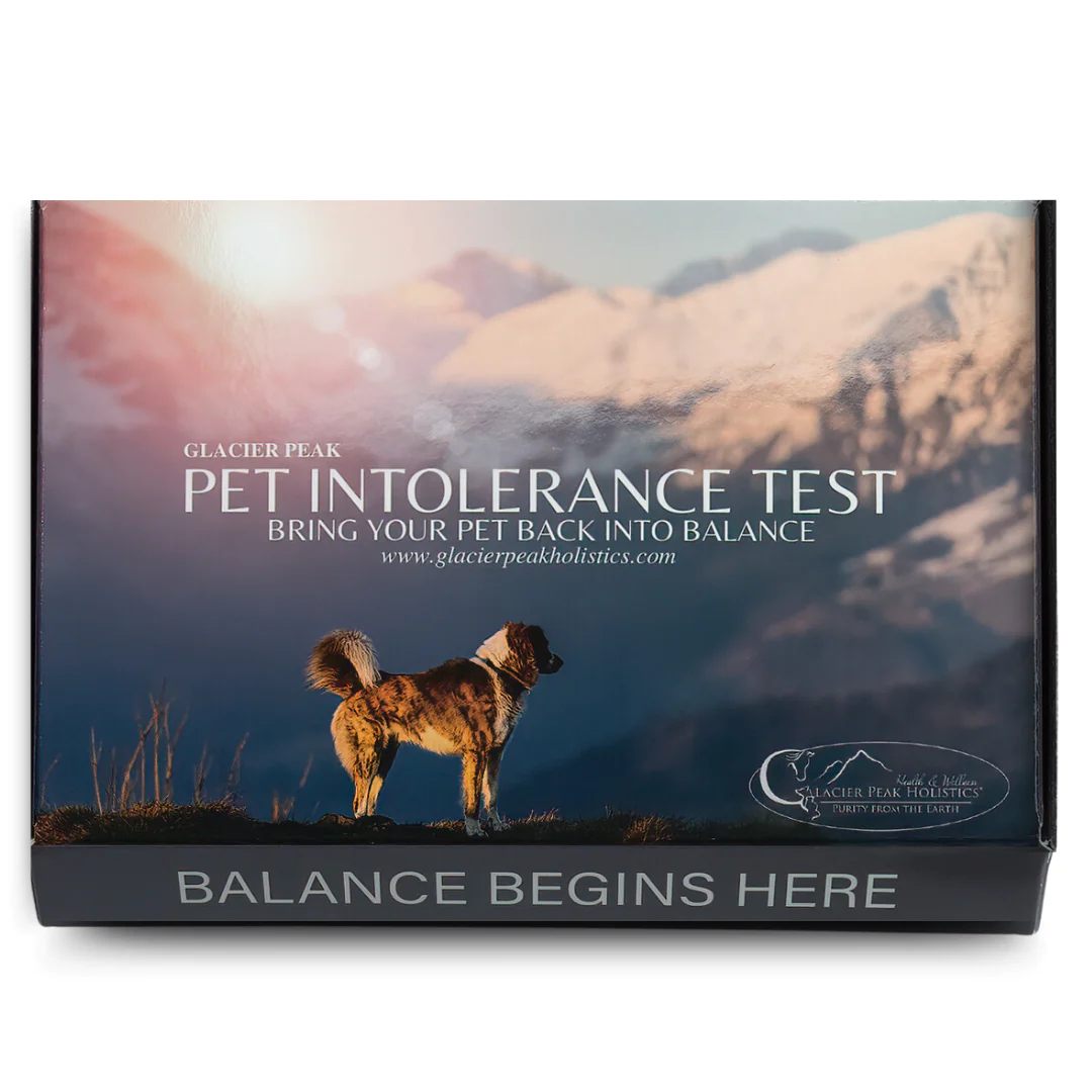 Packaging of the Glacier Peak Pet Intolerance Test. The box features an image of a dog standing on a hill with mountains in the background. The text reads 'Glacier Peak Pet Intolerance Test - Bring Your Pet Back Into Balance' and includes the website 'www.glacierpeakhollistics.com'. The bottom of the box says 'Balance Begins Here