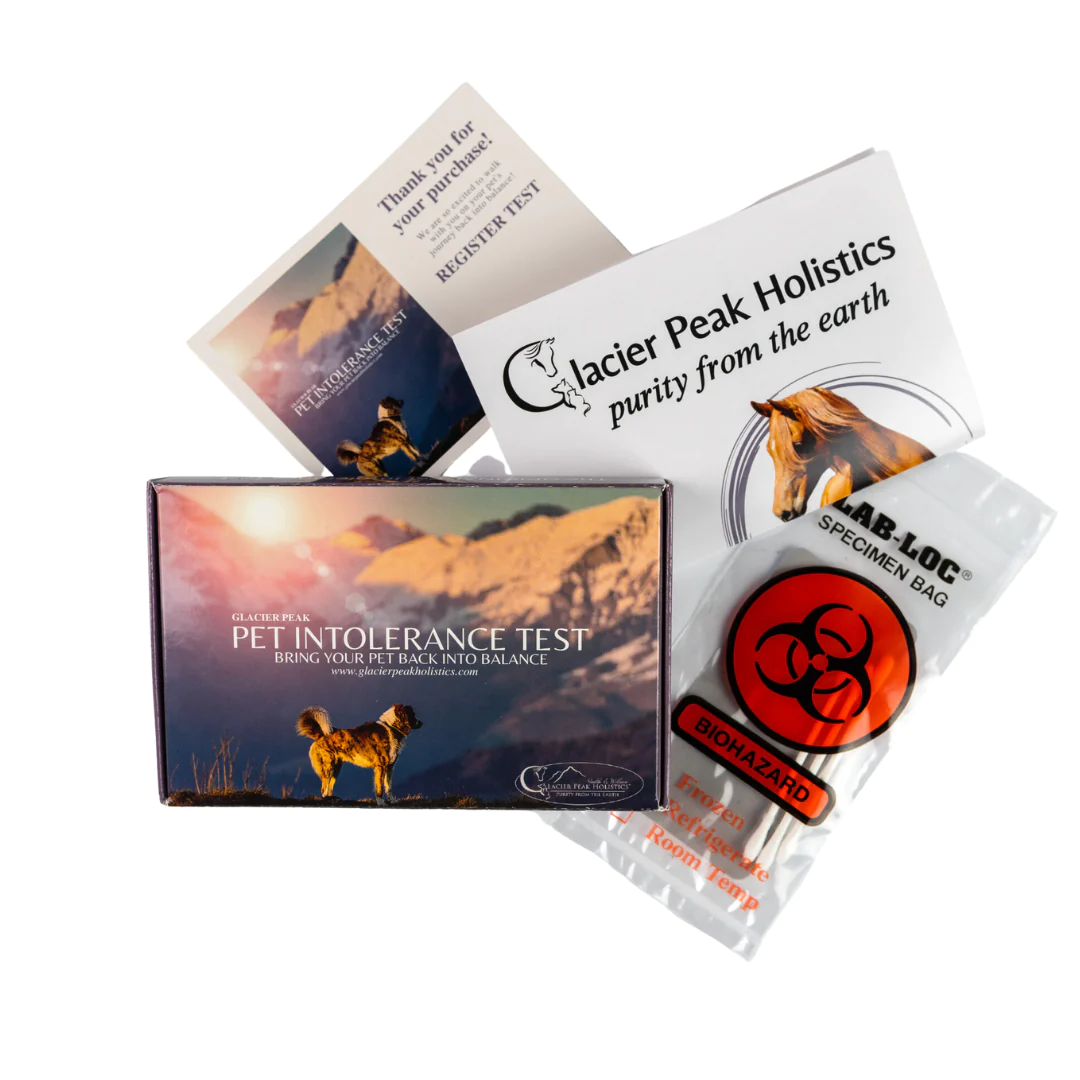 "Glacier Peak Pet Intolerance Test report cover. It shows a small dog running through leaves and a brown dog with an orange cat indoors. The text at the top explains the test as a guide for pet food, environment, and health. The bottom lists details: 'Glacier Peak Pet Intolerance Test,' 'Report Date: 2024-03-28,' 'Pet Name: Diesel Gwynn,' 'Pet Age: 1,' 'Pet Sex: M,' 'Species: dog.