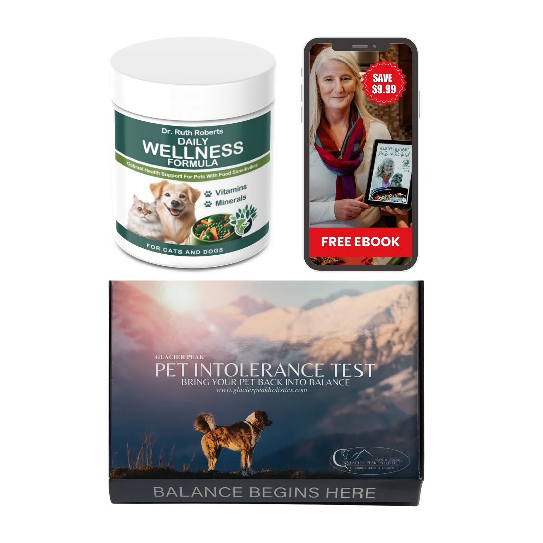 Sensitive Paws: Sensitivity Test & Wellness Bundle