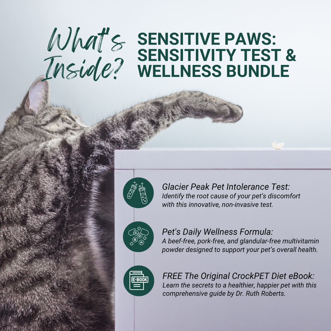 Sensitive Paws: Sensitivity Test & Wellness Bundle