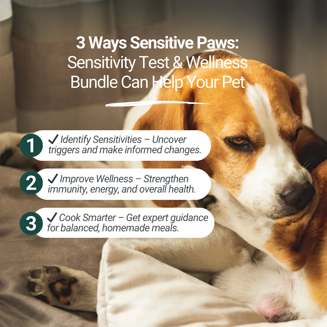 Sensitive Paws: Sensitivity Test & Wellness Bundle
