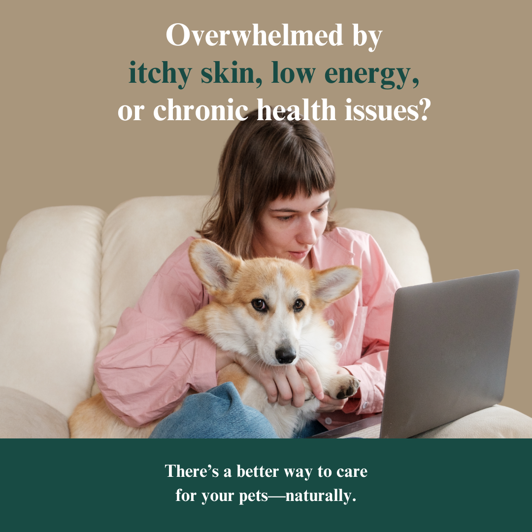 The Pet Parent’s Holistic Health Toolkit: Mastering Pet Parenthood Naturally Dr. Ruth Roberts