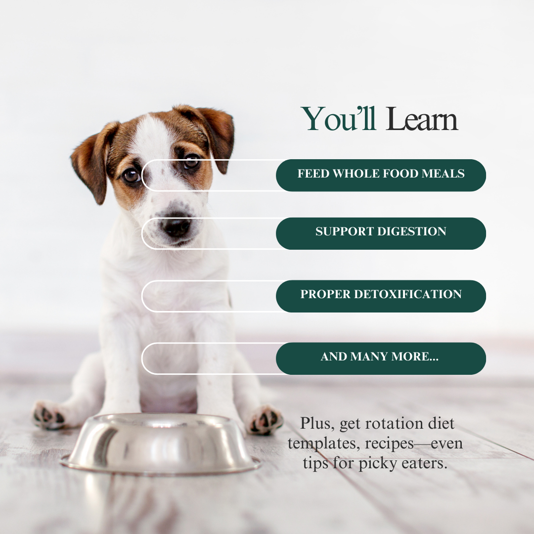 The Pet Parent’s Holistic Health Toolkit: Mastering Pet Parenthood Naturally Dr. Ruth Roberts