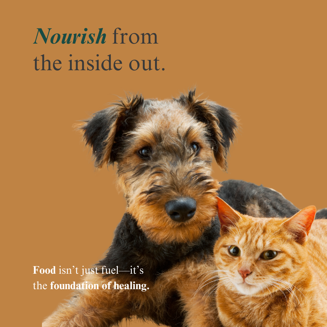 The Pet Parent’s Holistic Health Toolkit: Mastering Pet Parenthood Naturally Dr. Ruth Roberts