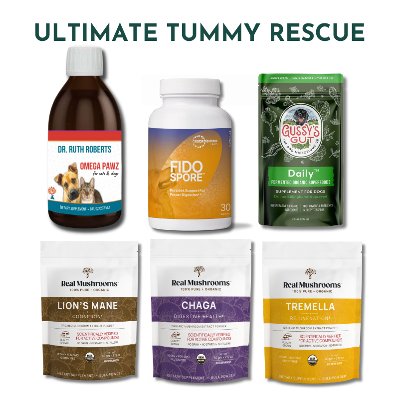 Ultimate Tummy Rescue - Digestive Relief Supplements for Pets