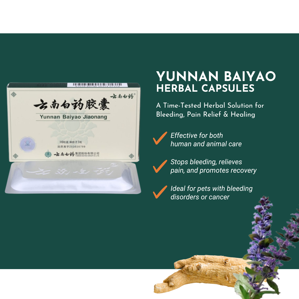 Yunnan Baiyao herbal capsules in a protective blister pack, suitable for humans and pets