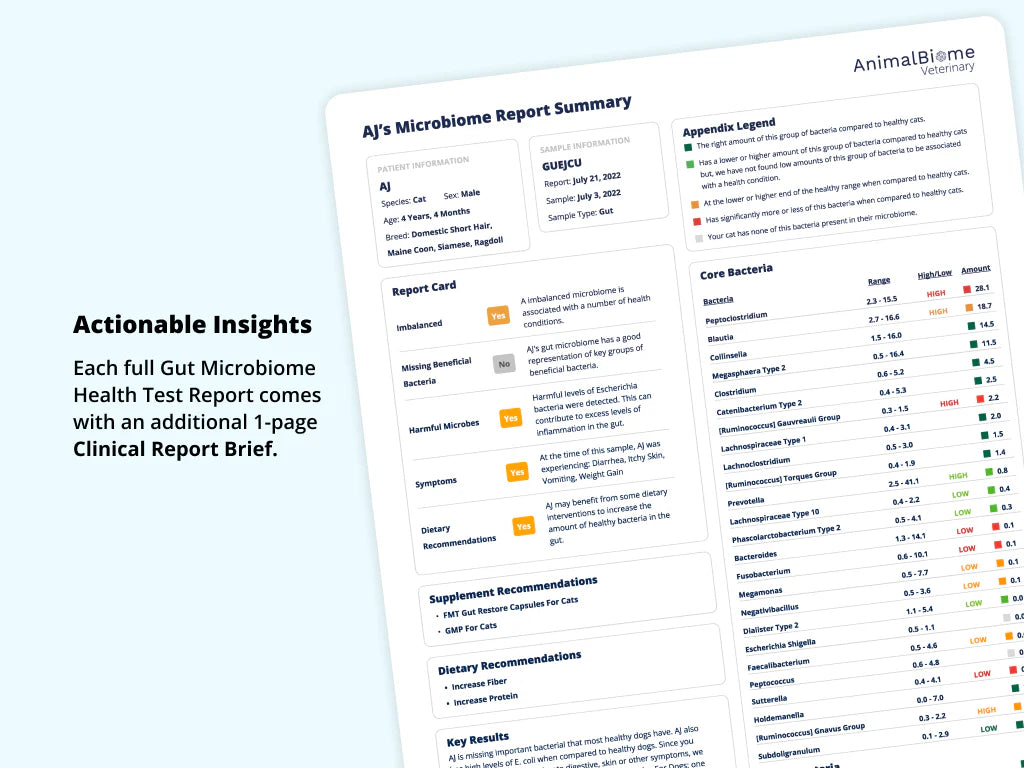 KittyBiome™ Gut Health Test