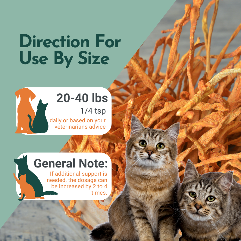 Organic Cordyceps Mushroom Powder for Pets (60 g) - Peak Performance