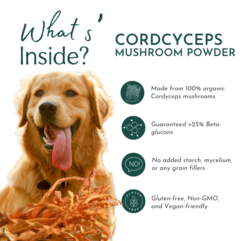 Organic Cordyceps Mushroom Powder for Pets (60 g) - Peak Performance