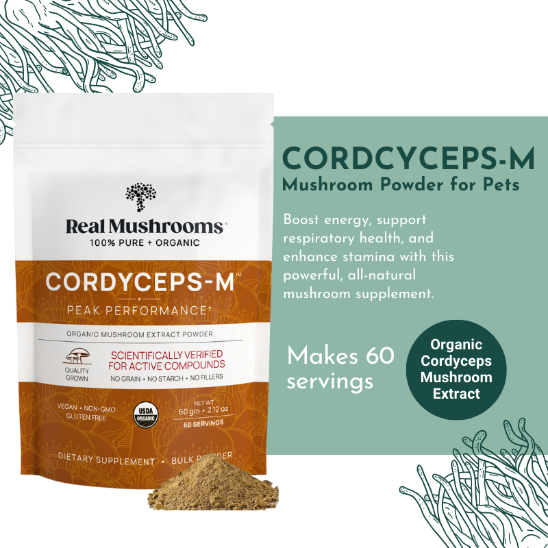 Organic Cordyceps Mushroom Powder for Pets (60 g) - Peak Performance