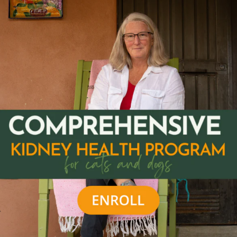 Kidney Support Stack