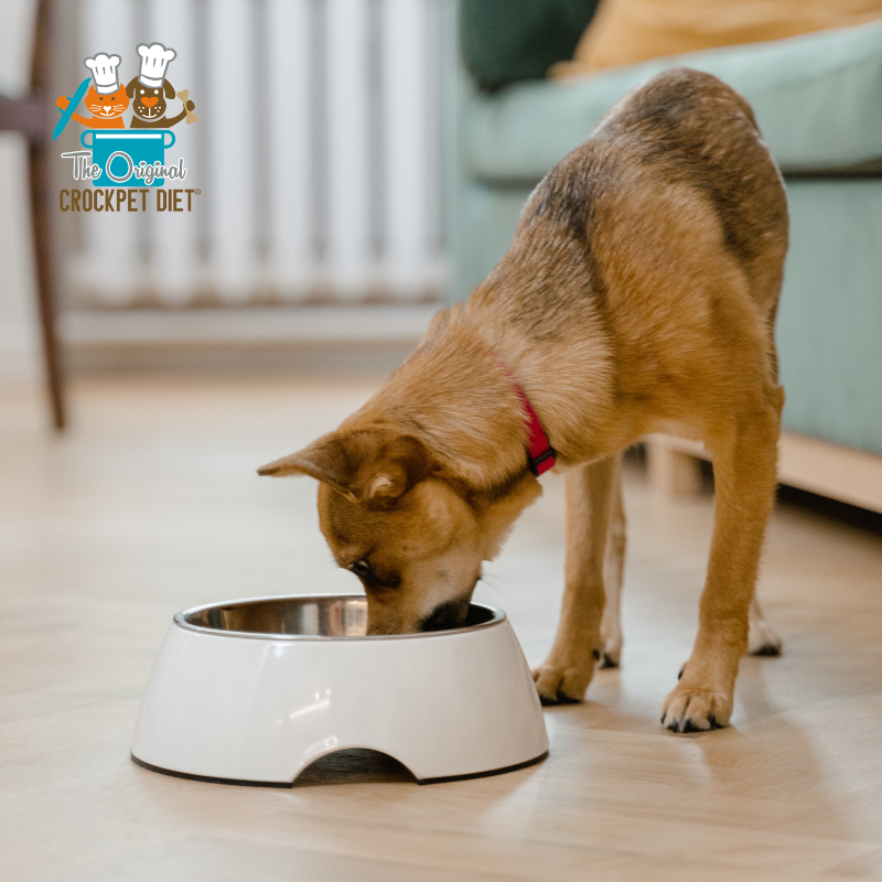The Complete CrockPET Diet Kit - Holistic Natural Dog Food
