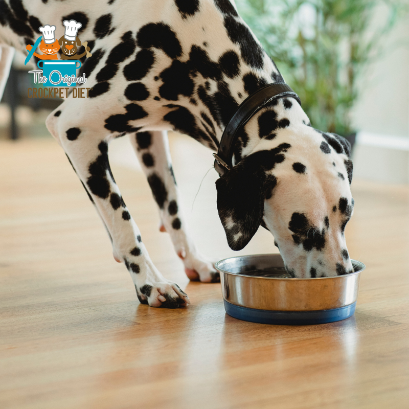 The Complete CrockPET Diet Kit - Holistic Natural Dog Food