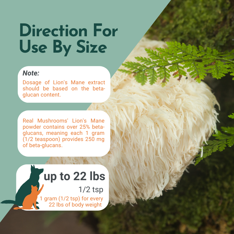 Organic Lion’s Mane Mushroom Powder for Pets