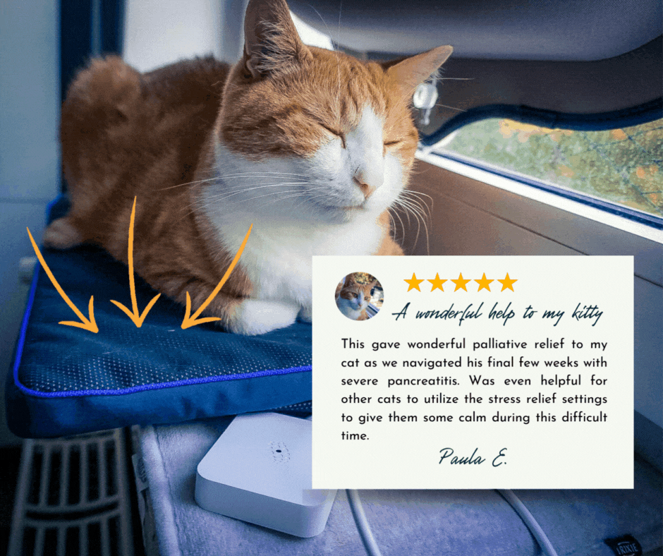 The GIF shows a cat lying on a PetsPEMF pad, relaxed with its eyes closed. Animated arrows highlight the pad, while a testimonial from Paula E. reads: "A wonderful help to my kitty. This provided palliative relief during his final weeks with severe pancreatitis and was also useful for other cats to relieve stress." The testimonial includes a five-star rating and a small picture of the cat.