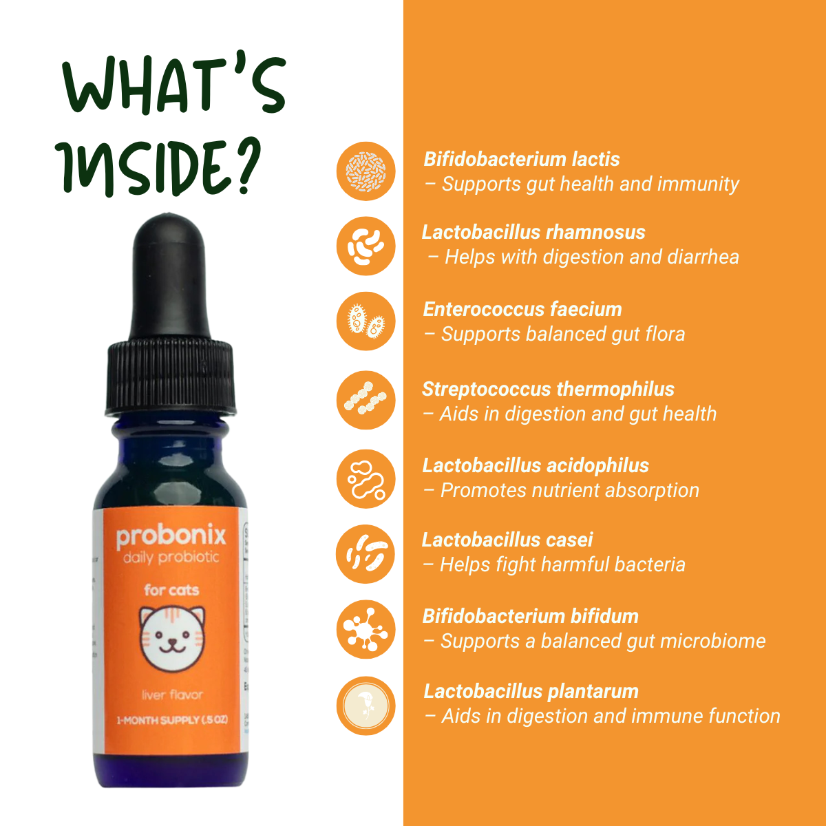 Cat Probonix - Liquid Probiotic for Cats