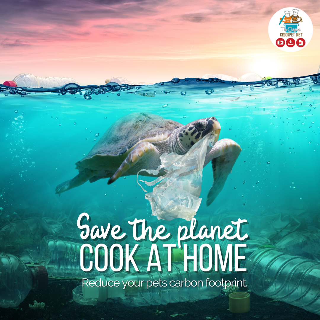 Image of a turtle underwater, entangled in a plastic bag and surrounded by plastic pollution, with a colorful sunset above. Text reads, 'Save the planet, Cook at home. Reduce your pet's carbon footprint.' The top right corner features 'The Original Crockpet Diet' logo with a cartoon cat and dog in chef hats, and icons for video, download, and audio formats.