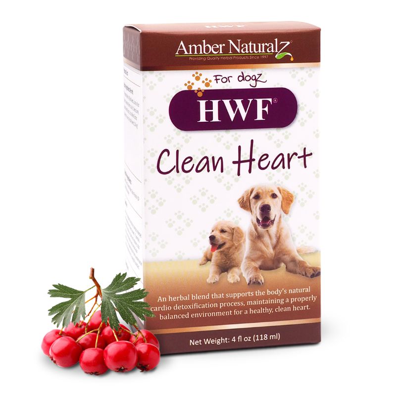 Packaging for 'Amber NaturalZ HWF Clean Heart' dog supplement. The box is white with brown accents, featuring the product name in bold purple with images of a golden retriever and a puppy. Includes text about cardio detox support and displays a net weight of 4 fl oz (118 ml). Red berries with green leaves are beside the box.