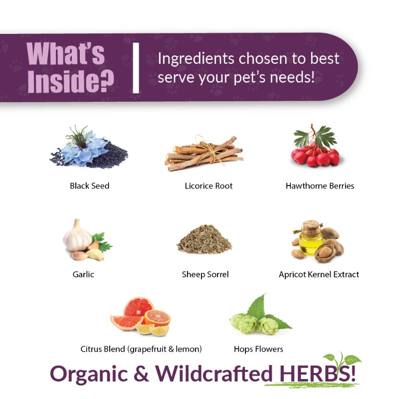 Graphic titled 'What's Inside?' showcasing ingredients in a pet product. It lists Black Seed, Licorice Root, Hawthorne Berries, Garlic, Sheep Sorrel, Apricot Kernel Extract, Citrus Blend (grapefruit & lemon), and Hops Flowers. The text emphasizes that these are organic and wildcrafted herbs.