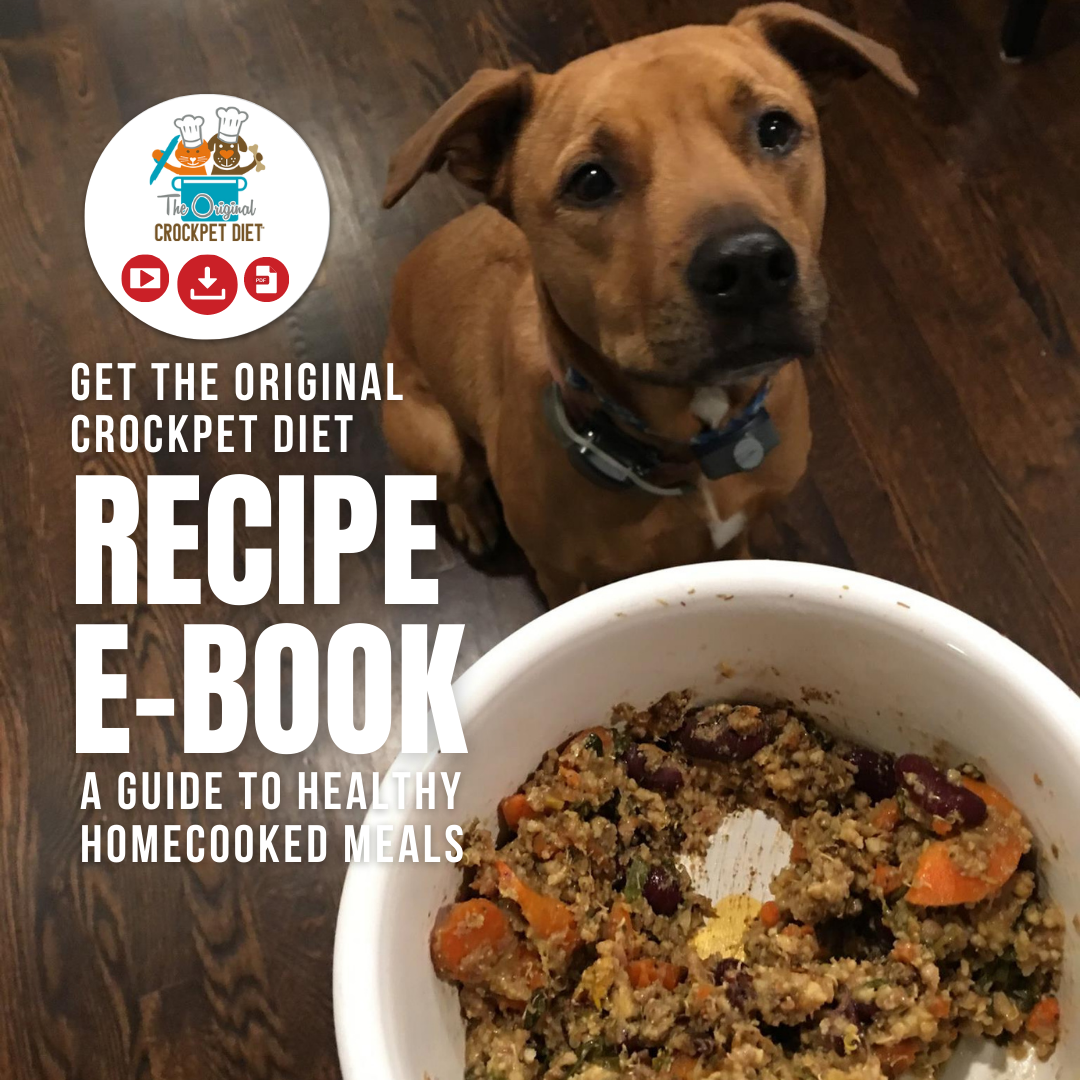 Promotional image for "The Original Crockpet Diet Recipe E-Book." A brown dog sits on a wooden floor, looking up at a bowl of home-cooked pet food containing ingredients like carrots and beans. The text reads "Get The Original Crockpet Diet Recipe E-Book: A Guide to Healthy Homecooked Meals." The logo of "The Original Crockpet Diet" is displayed at the top left, featuring a cartoon cat and dog wearing chef hats, with icons for video, download, and audio formats.