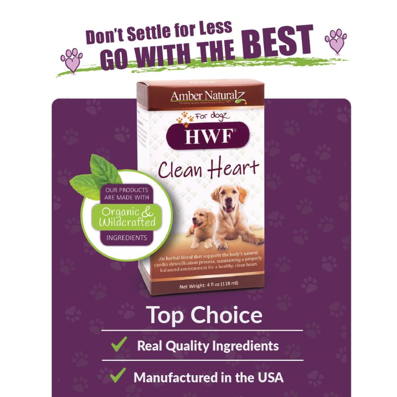 Promotional image for Amber Naturalz HWF Clean Heart for dogs. The image features a box of the product with two dogs lying down on the front. The text reads 'Don't settle for less, go with the best,' 'Our products are made with organic & wildcrafted ingredients,' 'Top choice,' 'Real quality ingredients,' and 'Manufactured in the USA.