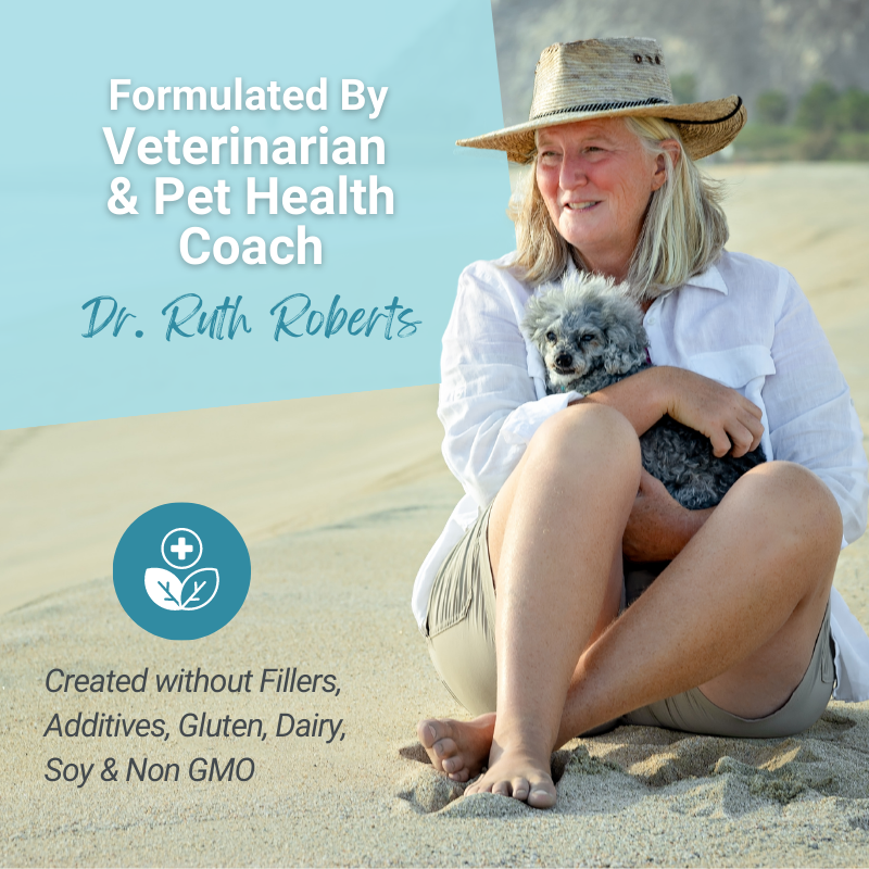 Dr. Ruth Roberts sit on a sandy beach, holding a small poodle gray dog. Text on the image reads: "Formulated by Veterinarian and Pet Health Coach, Dr. Ruth Roberts. Created without Fillers, Additives, Gluten, Dairy, Soy & Non-GMO." Introducing Hista Paws herbal allergy supplement for pet allergies.