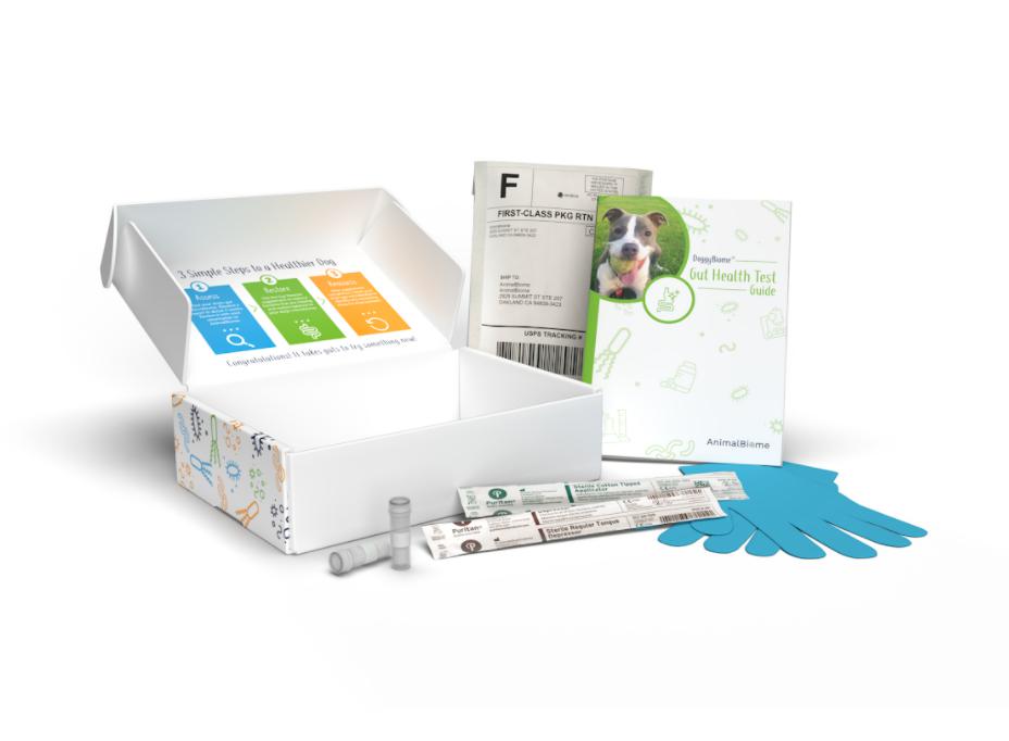 The image displays the contents of the AnimalBiome DoggyBiome Gut Health Test kit. An open box shows an instruction card with '3 Simple Steps to a Healthier Dog' in blue, green, and orange sections. Items around the box include a guide booklet with a dog’s picture titled 'DoggyBiome Gut Health Test Guide,' a pre-labeled return envelope, a pair of blue gloves, and several sample collection tubes and swabs.