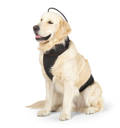 Calmer Canine Anxiety Treatment System: Device + Vest | Dr. Ruth Roberts