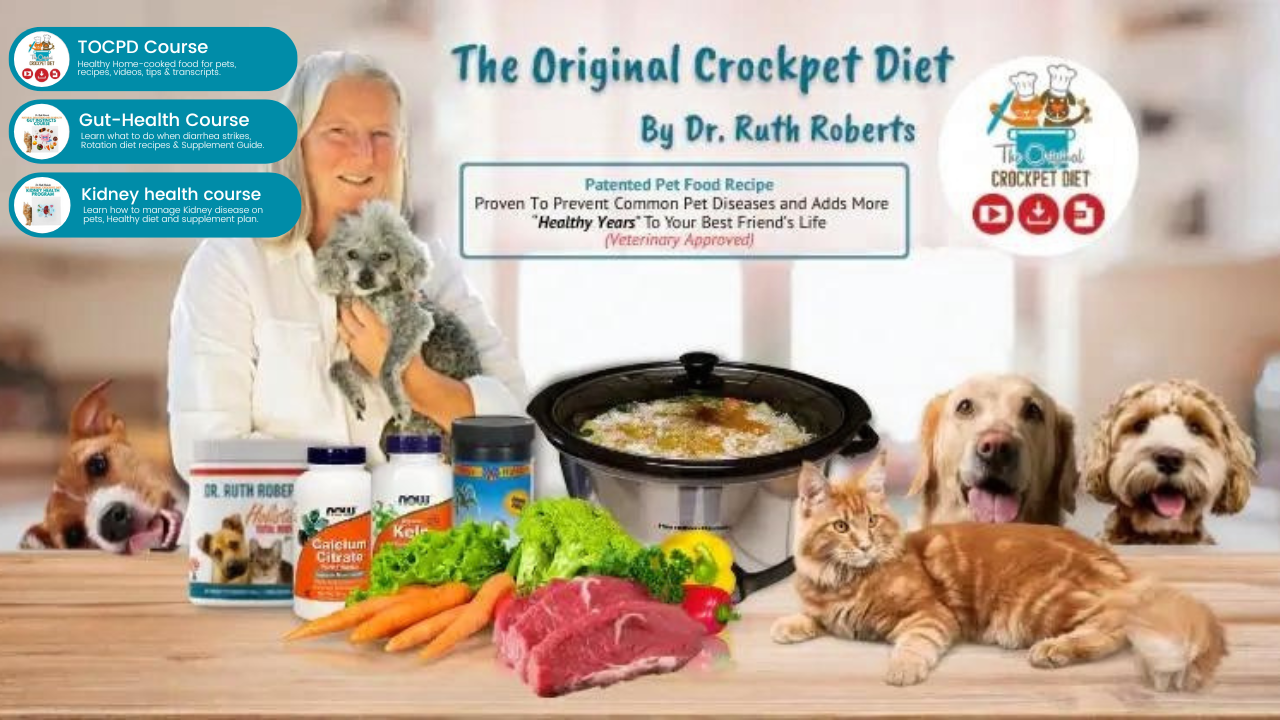 Promotional image for 'The Original Crockpet Diet' by Dr. Ruth Roberts. Dr. Roberts holds a small gray dog with a table of pet products, fresh ingredients, and a crockpot. The image also includes happy pets and lists three courses: 'Healthy Home-Cooked Food,' 'Gut-Health Management,' and 'Kidney Health Management,' highlighting the diet's health benefits and veterinary approval.