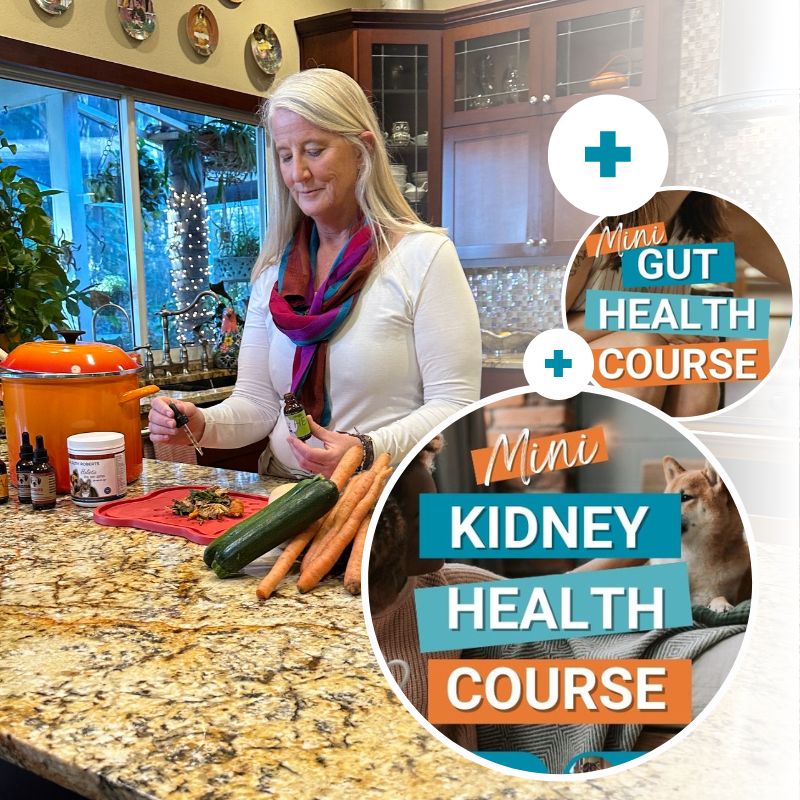 Promotional image for the "Mini Gut Health Course" and "Mini Kidney Health Course." Dr. Ruth Roberts stands in a kitchen preparing pet food, surrounded by fresh ingredients like carrots and zucchini. The background features a granite countertop and various kitchenware. On the right, circular images promote the courses, labeled "Mini Gut Health Course" and "Mini Kidney Health Course," separated by a plus sign. The course names are displayed in bold, colorful text