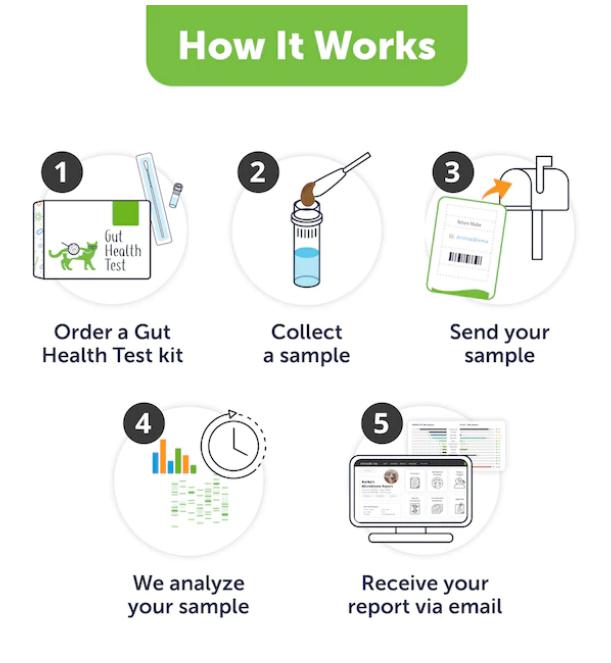 KittyBiome™ Gut Health Test sample test how it works
