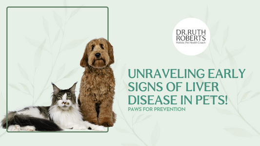 How do you identify the early signs of liver disease in pets?