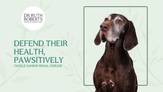 Canine Renal Disease: 5 Step Treatment Plan