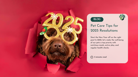  A brown dog in gold "2025" glasses peeks through red paper. Next to it, a blog card titled "Pet Care Tips for 2025 Resolutions" mentions focusing on pet well-being in the New Year.