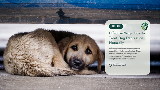 A sad dog curled up under a shelter, with a blog overlay titled 'Effective Ways to Treat Dog Depression Naturally.