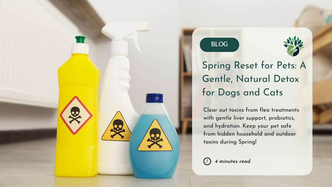 Spring Pet Detox Guide: Flea Control, Environmental Toxins, and Natural Support