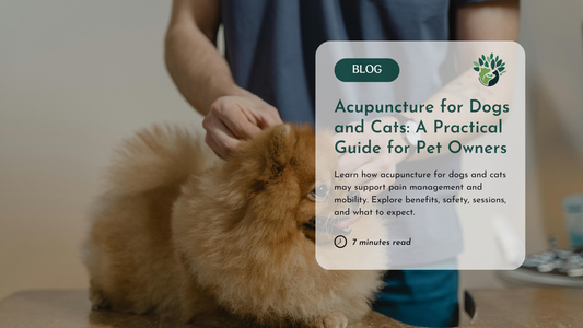The Healing Power of Acupuncture for Pets: A Guide