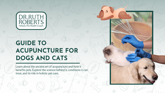 The Healing Power of Acupuncture for Pets: A Guide