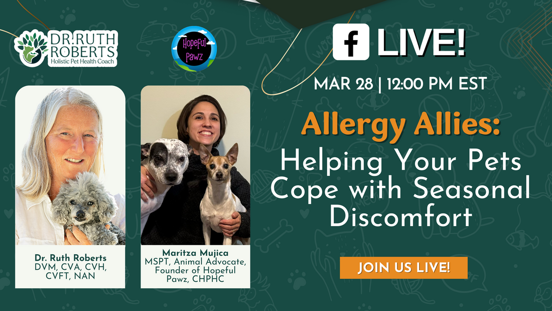 HPHC Live with Maritza Mujica: Helping Your Pets Cope with Seasonal Discomfort