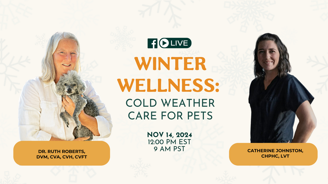 Winter Wellness: Cold Weather Care for Pets